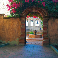 Bougainvillea at the Mission