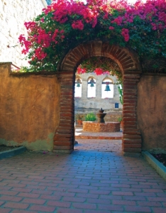 Bougainvillea<br/>at the Mission
